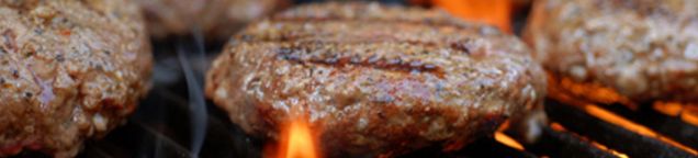 Aktion´s Burger 160g von Lavagrill