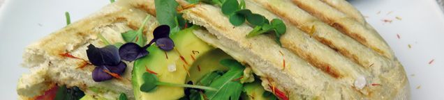 Ofenfrische Panini