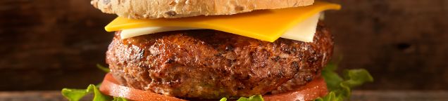 Burger - Normal