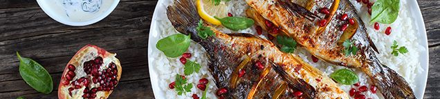 Fisch Spezial