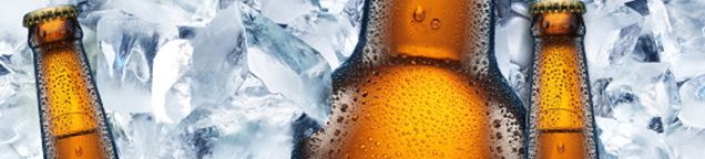 Bier