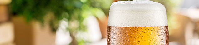 Bier