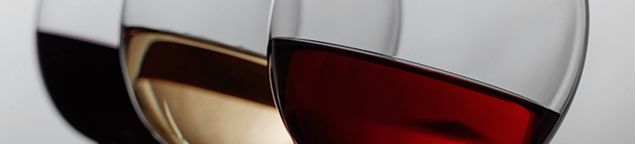 Wein