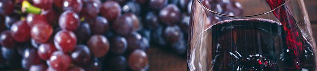 Wein