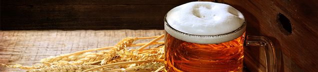 Bier