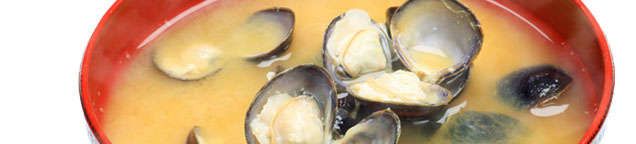 Muscheln