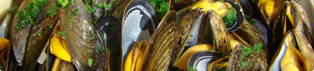 Fisch