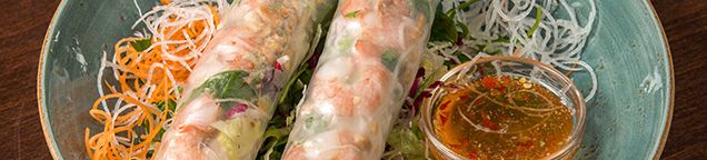 Vegan Rollen