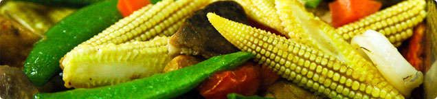 Vegetarisch