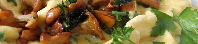 Omelettes