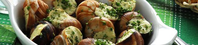 Schnecken