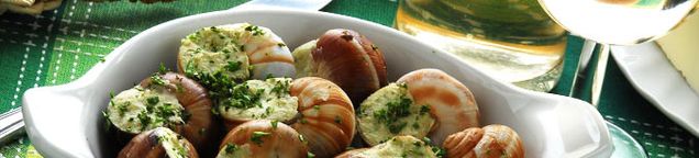 Schnecken
