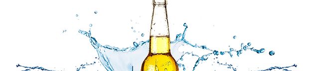 Bier