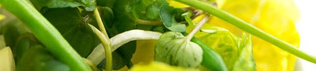 Vegetarisch