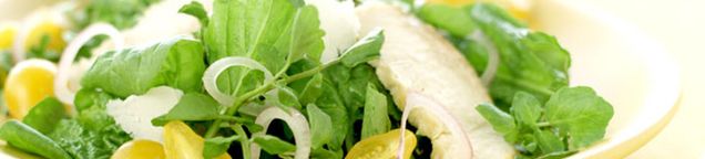 Salate-Groß