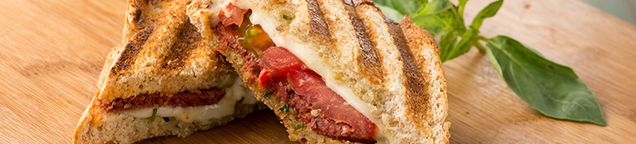 Panini