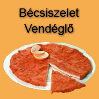 Bécsiszelet Hold utca
