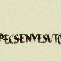 Pecsenyesütő