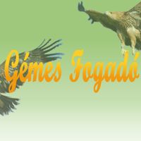 Gémes Fogadó