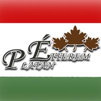 Platán Étterem - Balatonföldvár