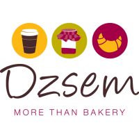 DZSEM