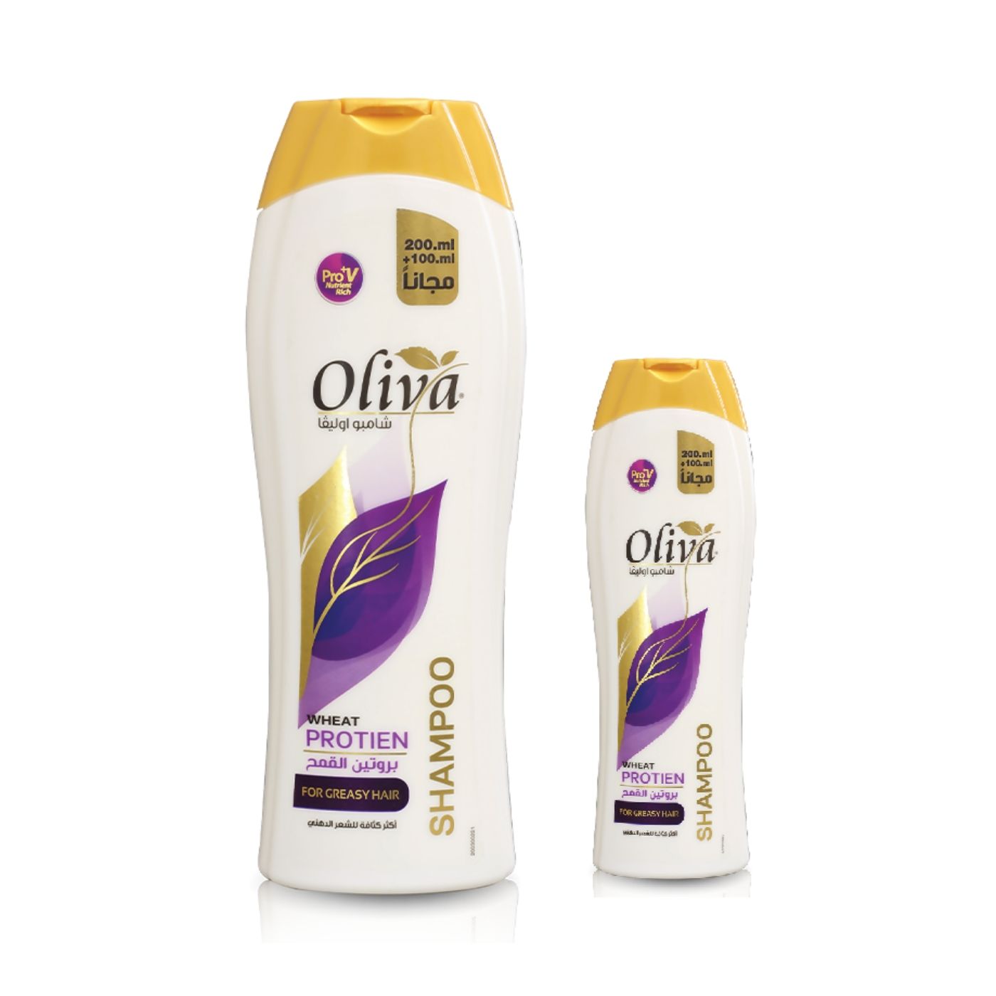 Oliva Shampoo – Für Langanhaltende Feuchtigkeit & Glanz, 400 Ml