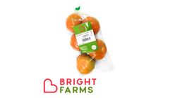 Brightfarms Tomato (M) 350g - 400g