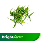 brightfarms Cili Padi Hijau 100g