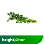 brightfarms Chinese Celery 100g