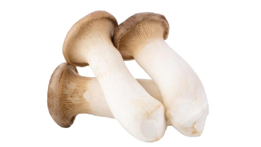 King Oyster Mushroom 200g delivery near you | foodpanda Malaysia