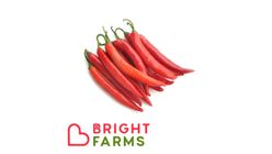 Brightfarms Red Chili 350g