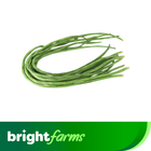 Brightfarms Kacang Panjang 250g