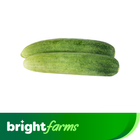 Brightfarms Cucumber (400g - 500g)