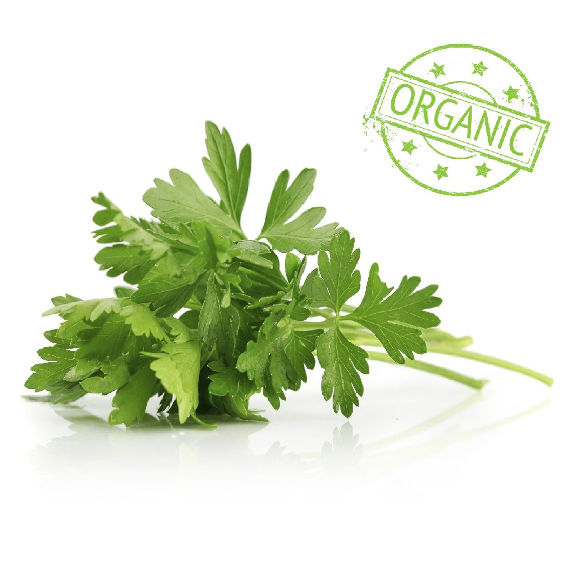 Buy Organic Parsley 250gm Online in Oman Talabat Oman