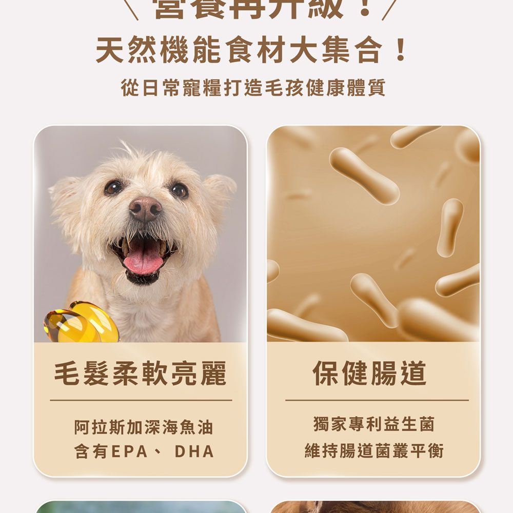 在線上購買熊貓超市(新店店)的【GOMO PET FOOD】成犬無穀高纖關節配方