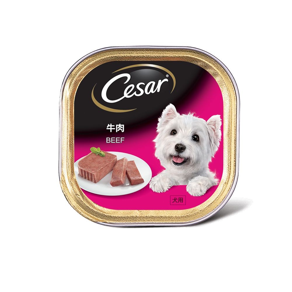 cesar dog food beef