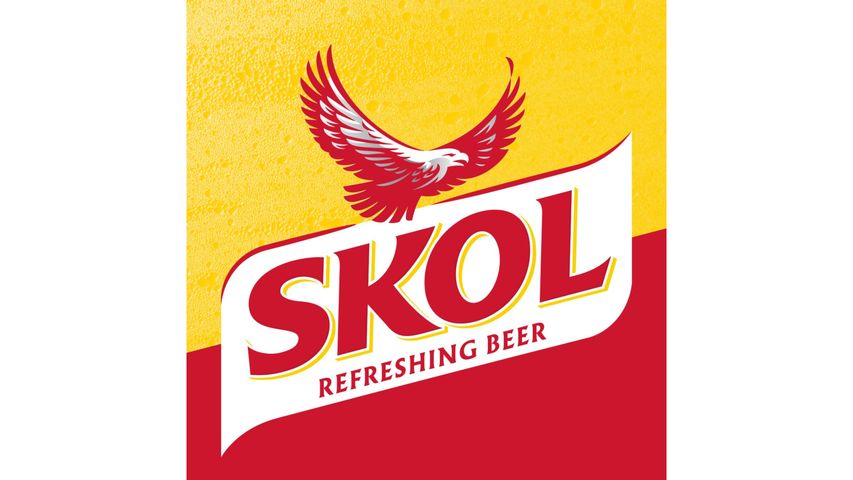 Skol Lager Beer Can (Non-Halal) 24s x 320ml delivery near you ...