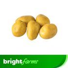 brightfarms Premium Holland Potato 500g