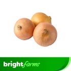 Brightfarms Premium Yellow Onion 500g