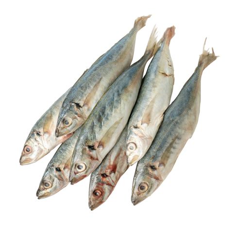 GST Frozen Ikan Sardin 1kg delivery near you | foodpanda Malaysia