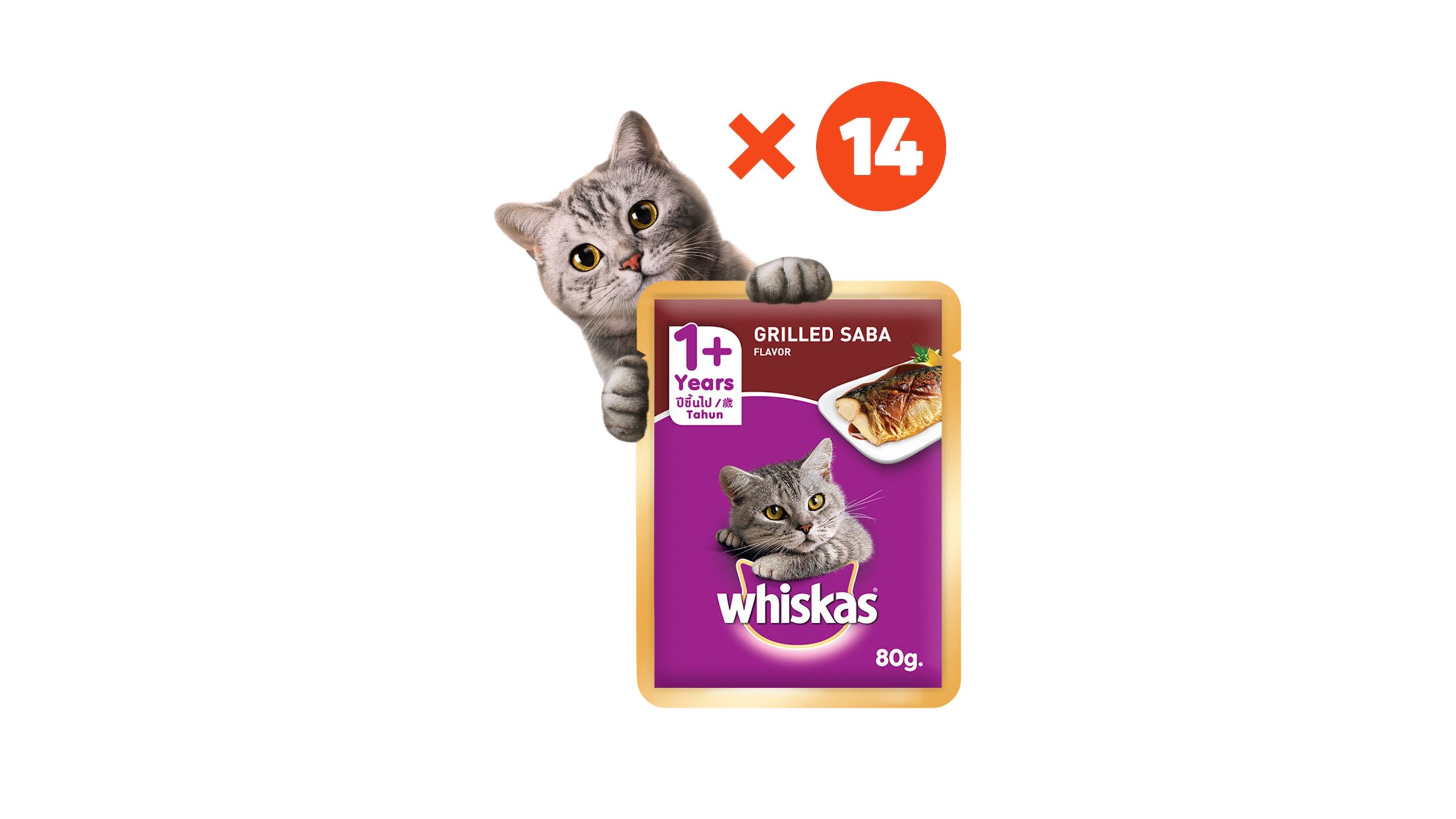 Cat food for 1 year clearance old