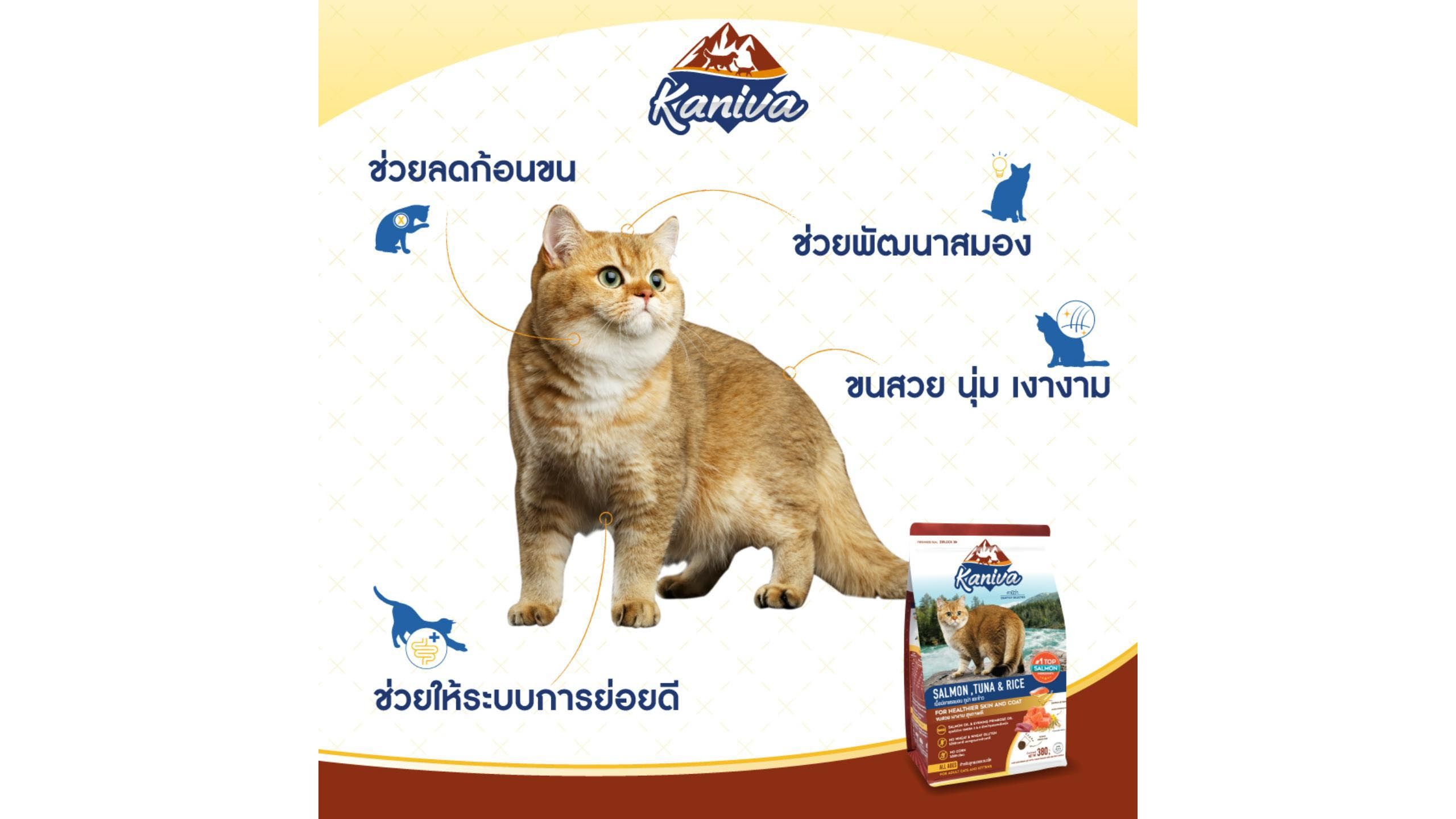 Kaniva Salmon Tuna and Rice Cat Food 1.4kg delivery near you in