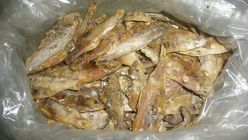 Puti Fish | 500 g