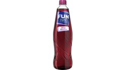Fun Light Saft Wild Berries 1L