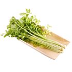 台灣芹菜 250g/包 #4717060203123#03/033