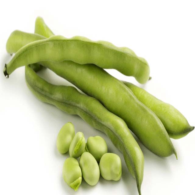 Buy Fava Beans 500 g Online in UAE Talabat UAE