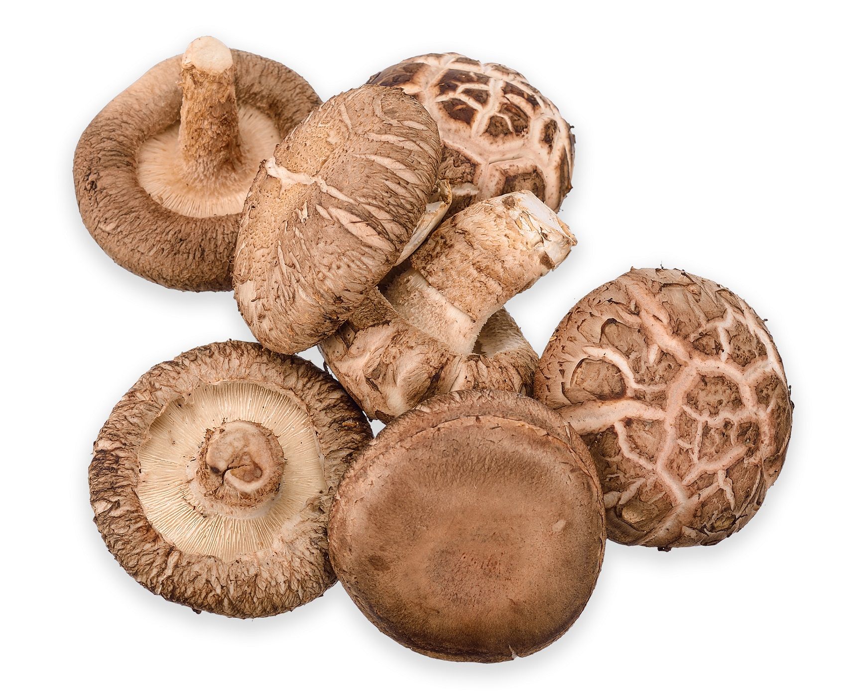 Buy Mushroom Shiitake China 150g Online in UAE Talabat UAE