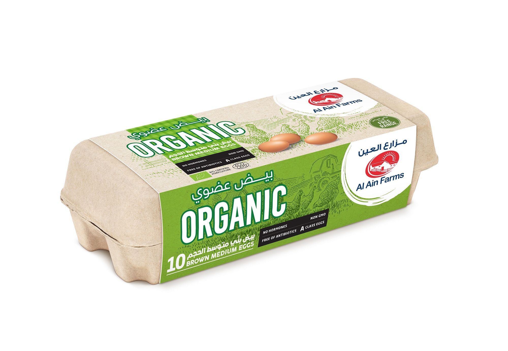 Buy Al Ain Farms Organic Brown Medium Eggs 10 Pcs Online In Uae 