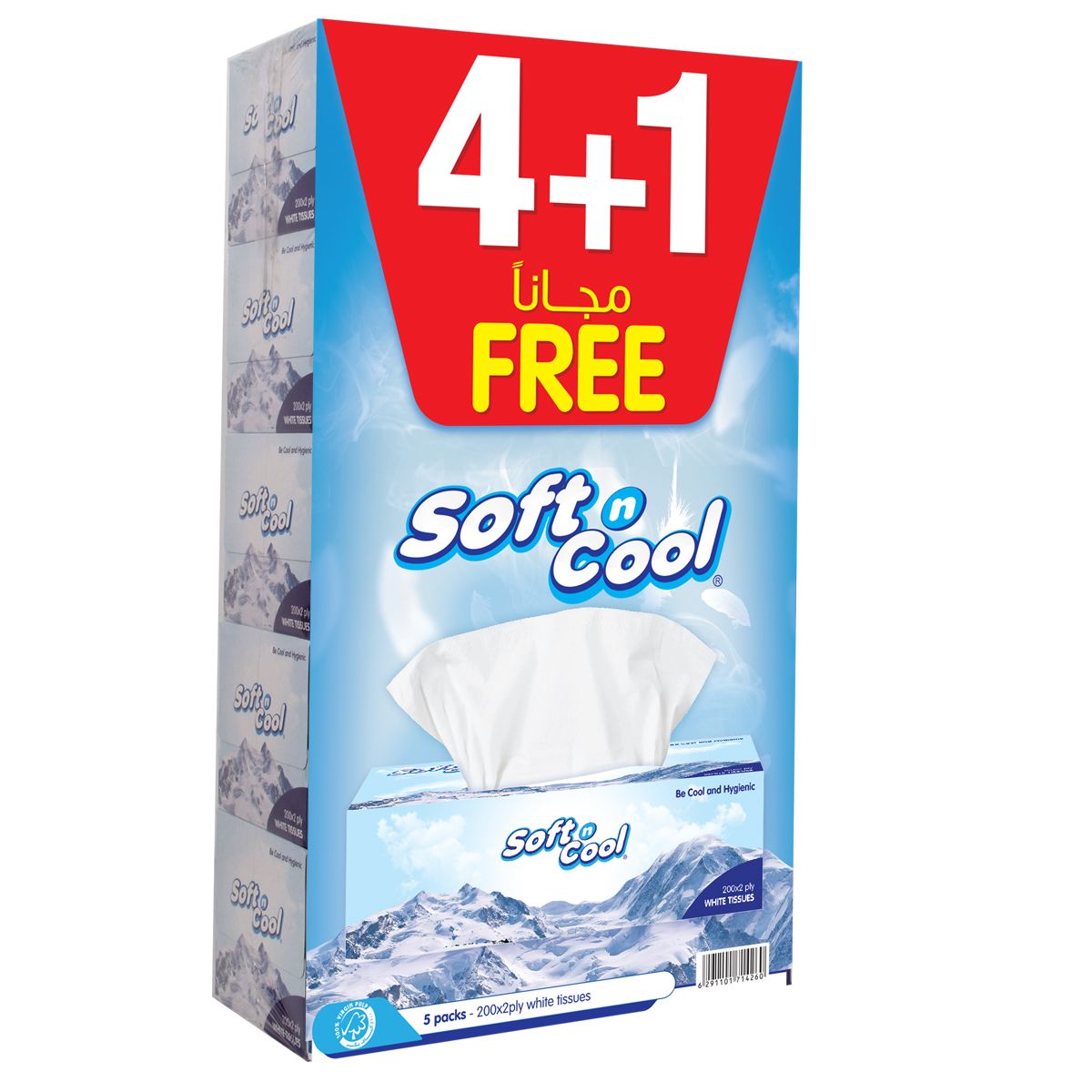 Buy Soft N Cool Facial Tissue 200 Sheets 2 Ply 4 Pcs + 1 Free Online in