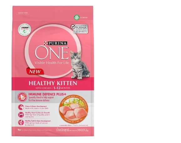 Buy PURINA ONE Active Kitten Chicken 380 g Online in Kuwait | Talabat ...